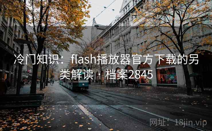 冷门知识：flash播放器官方下载的另类解读 · 档案2845