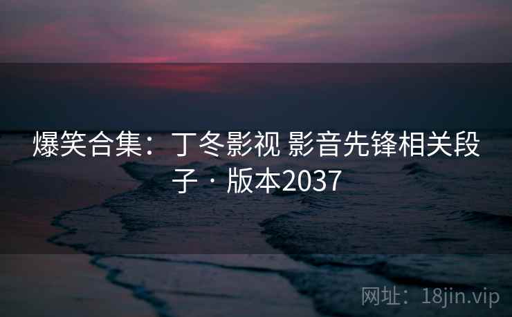 爆笑合集：丁冬影视 影音先锋相关段子 · 版本2037