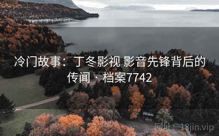 冷门故事:丁冬影视 影音先锋背后的传闻 · 档案7742 冷门故事:丁冬影视 影音先锋背后的传闻 · 档案7742